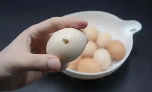 鸡蛋上有一样东西很脏,不注意小心病从口入
