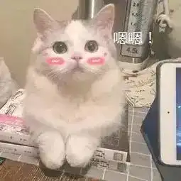 蚊子图片搞笑下限