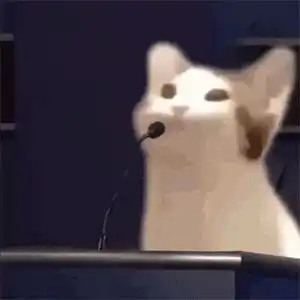 popo猫系列一
