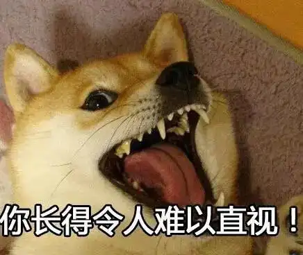 气死人,这狗不能要了同样是狗,确是狗和狗东西的差距
