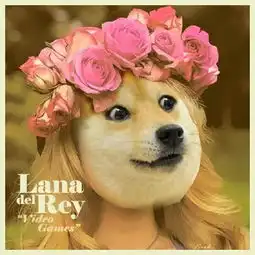 花语若曦
