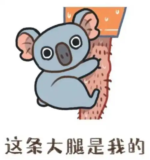 有趣的动物冷知识它比子弹还要硬