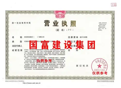 特殊批复出让,罕见的国字头冠名公司
