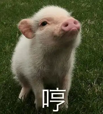 降降降春节或迎来最低价格
