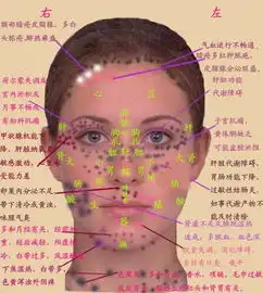 脸上痘痘分布图各部位代表什么
