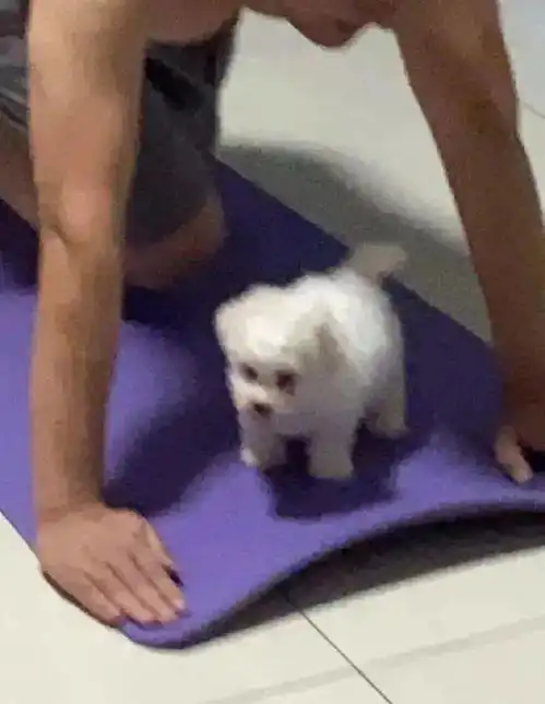 搞笑段子不该要的红包我不要哈哈哈哈一个字,绝
