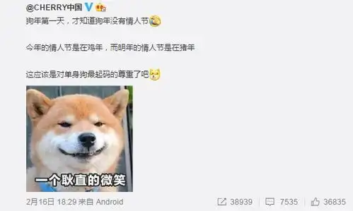 过年吃得多分明是笑撑的好吗哈哈哈哈嗝
