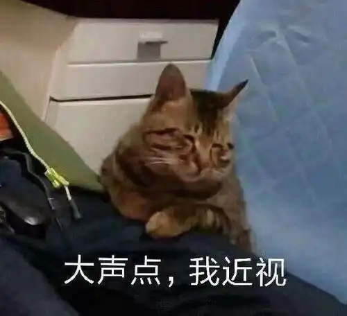 每天一句搞笑句子证明自己的幽默
