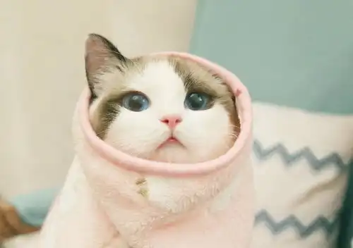 股市里,一个有效的赚钱策略
