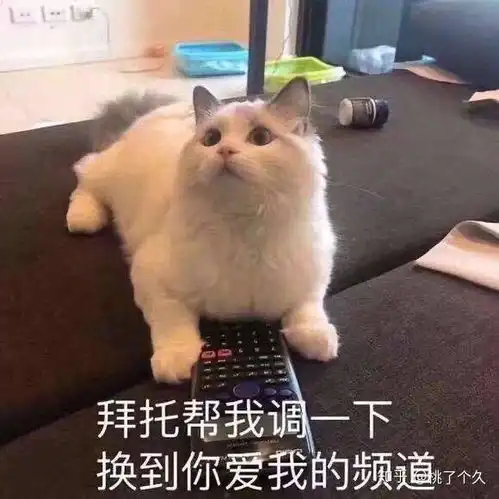 狗狗可爱表情包餐前
