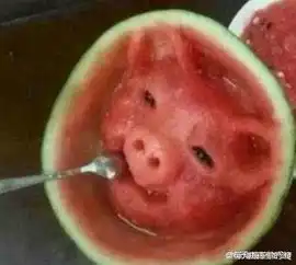 搞笑图片笑话搞笑搞笑图片精选爆笑搞笑图片大全第4130页别逗了
