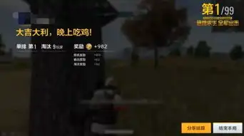 两款吃鸡正版手游今日上线全军出击和刺激战场到底哪个好玩
