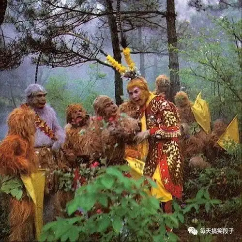 每日搞笑取经归来猪八戒批评孙悟空
