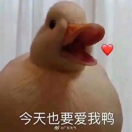 好的鸭表情包表情包