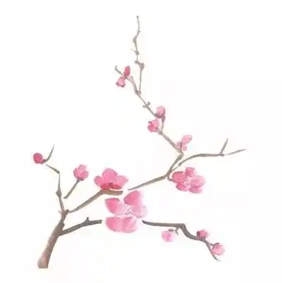 蓝城园趣梅花香自小院来
