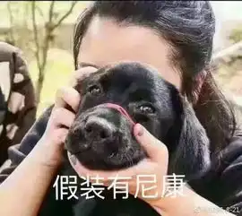 包你满意的迷你包包百搭又轻便,真的不要一个吗
