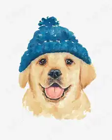 卡通金毛犬素材图片免费下载高清卡通手绘png千库网图片编号5208307
