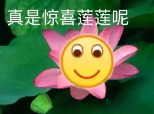 所有的mark后再看都是成年人的自我欺骗
