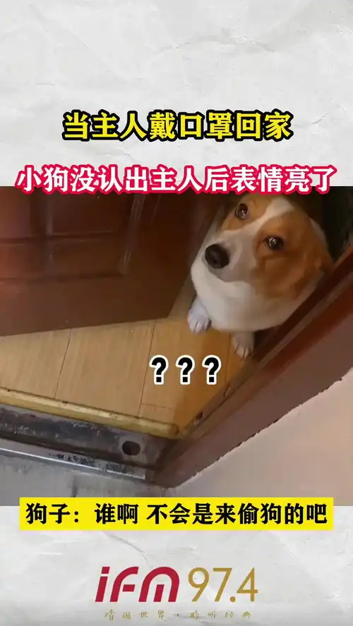 当主人戴口罩回家,小狗没认出来主人后表情亮了