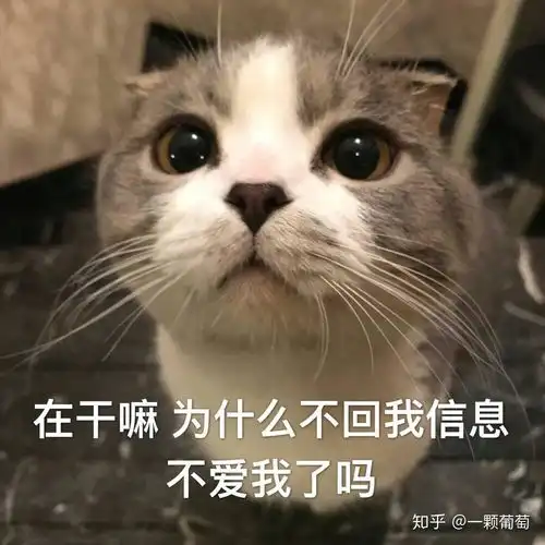 狮子座不喜欢一个人是怎么样的
