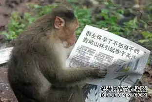文章爆笑趣图
