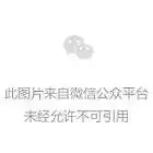 微信新功能上线视频号评论区可发表情包
