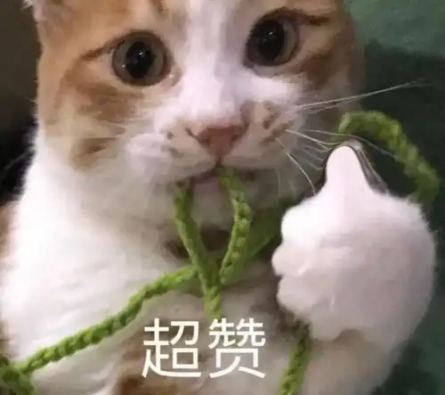 无证驾驶还肇事逃逸,崇左交警登门走访人车俱获
