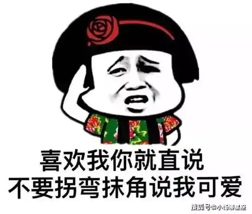 幽默段子暑假,两个女大学生相约骑自行车穷游西藏
