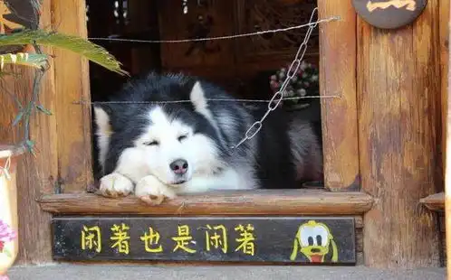 段子小伙子你这是站票啊,站哪都行

