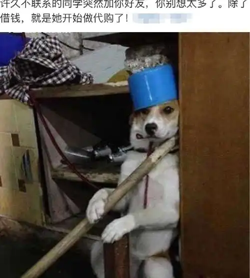 加了一天班好不容易回到家,看到这一幕,差点吓死了......
