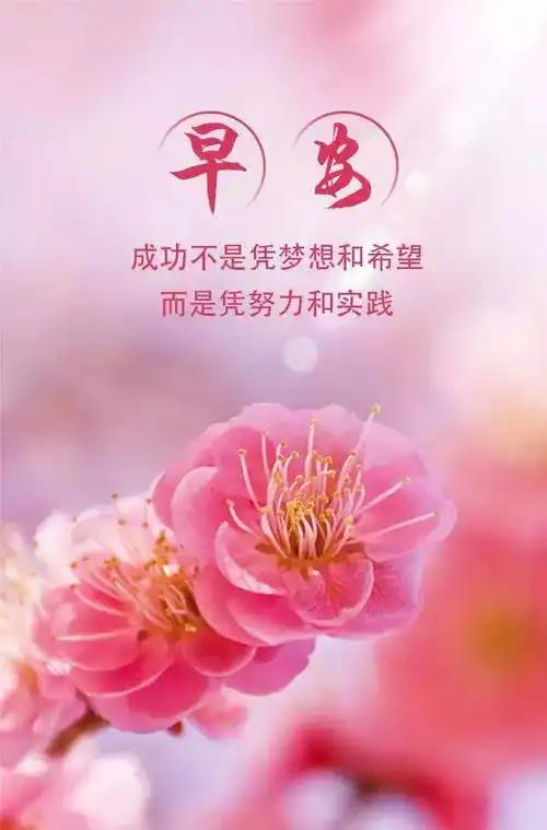 生活,就是把快乐装在心中,一路向前,早安
