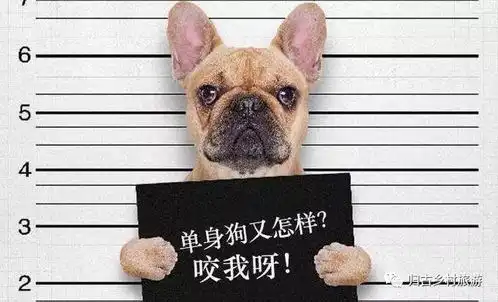 光棍节又来搞事情啦要么告别单身,要么给自己一个特别的礼物
