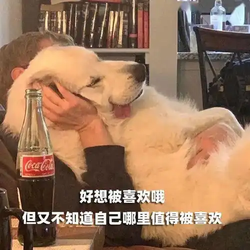 好想被喜欢哦
