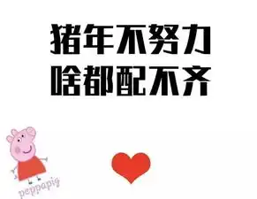 啥是佩奇这才是健身届硬核配齐
