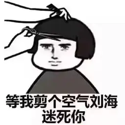 表情包等我剪个空气刘海迷死你