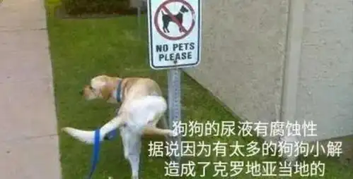 冷知识科普动物不为人知的秘密,一组图简明真相
