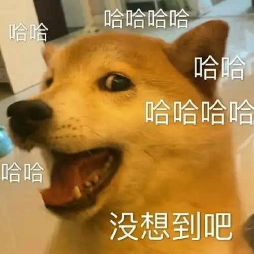 表情包可爱狗勾表情包合集
