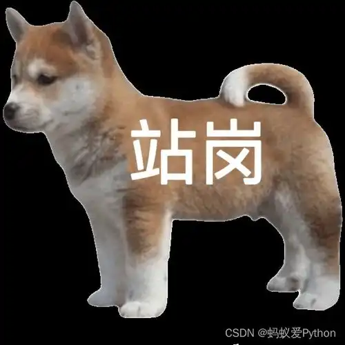 python实现记忆缓存函数返回值
