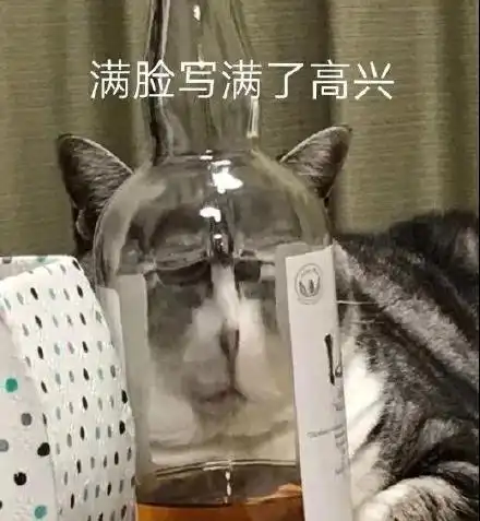 我的收藏
