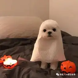 我就问你怕了没有
