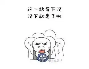 风吟我在公交车上,感受这座城市
