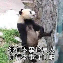 幽默段子笑话我们宿舍晚上约了师范学院参加宿舍联谊
