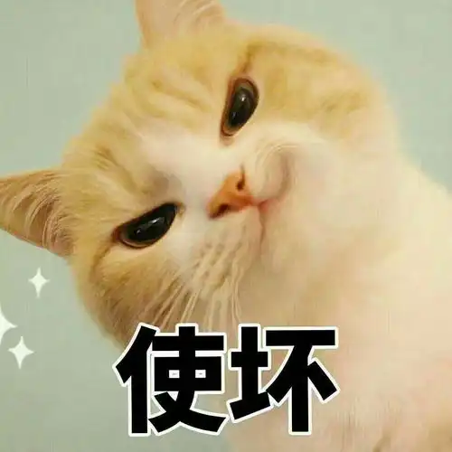 搞笑gif趣图草泥马别追我了
