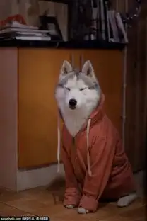 搞笑趣图
