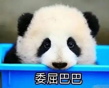 那些年让我笑出八块腹肌的逗逼老师们,看着看着就哭了