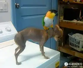 爆笑雷人囧图集看一眼就让你崩溃
