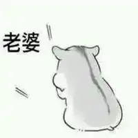 老公老婆表情包微信头像图片大全
