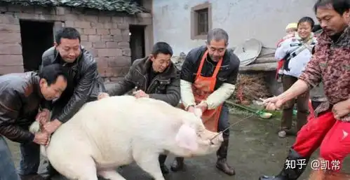 如果人类可以听懂动物说话,人们还会吃肉吗

