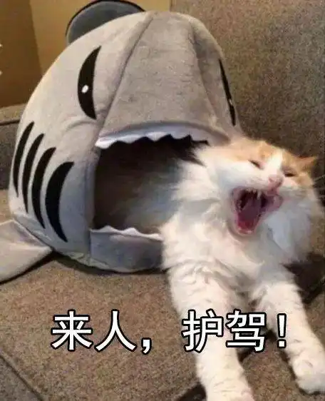 找不到回放定时关闭在哪新版花生fm使用答疑来啦