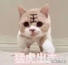 如何评价抖音里面的杀猪饲料抖主
